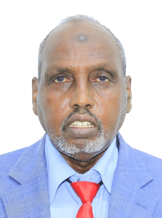 PROF OSMAN web