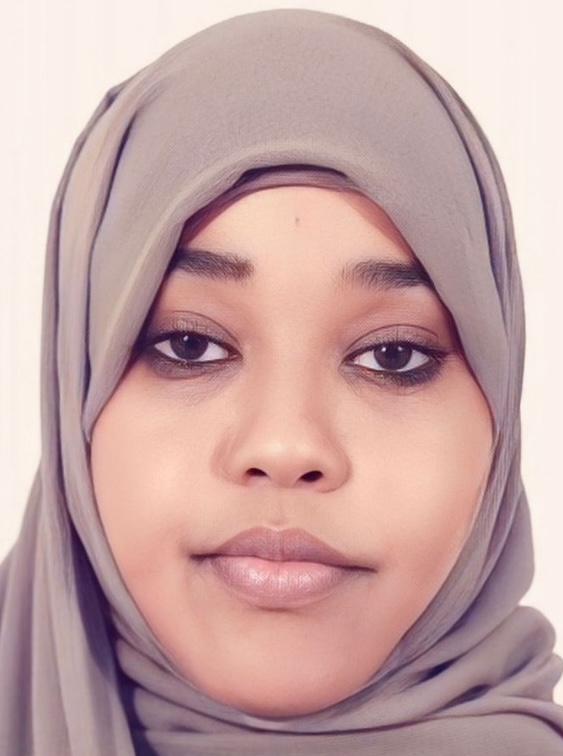 ayan abdullahi sawir commissioner copy